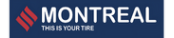 195/40R17 81V Eco 2 MONTREAL YAZ LASTİĞİ 2025